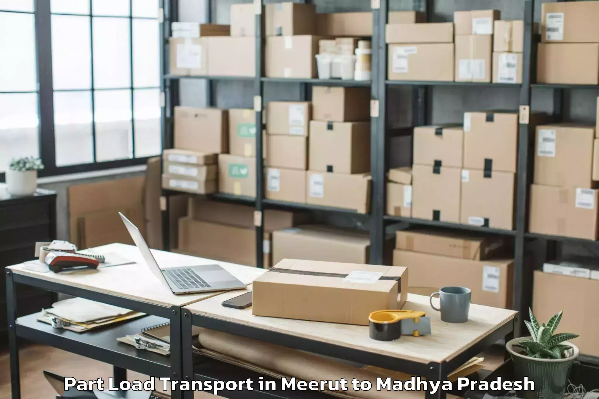 Meerut to Jabalpur Airport Jlr Part Load Transport Booking